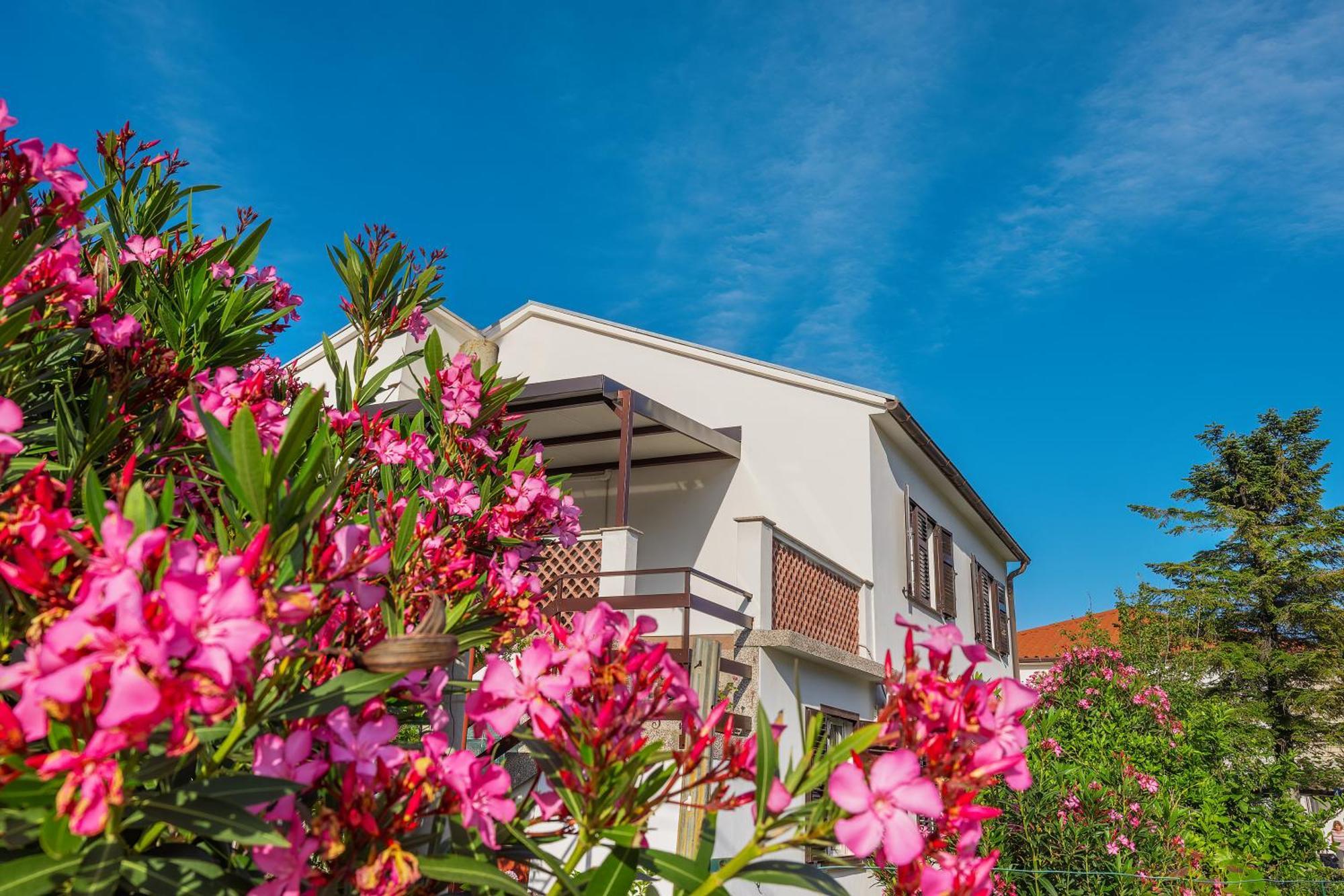 Apartment Vinka Baška Dış mekan fotoğraf